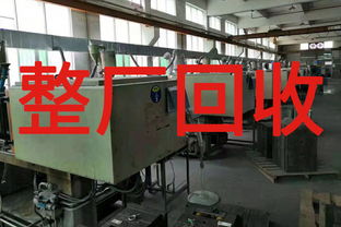 明智之選 如何嚴(yán)謹(jǐn)評(píng)估東莞整廠回收與寄賣服務(wù)方案